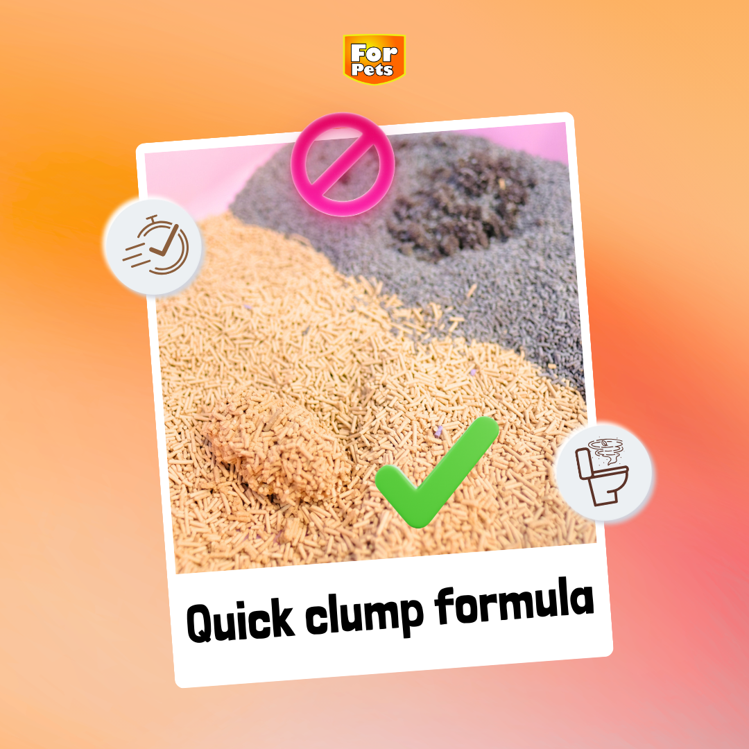 Tofu For Pets 7L Lavender