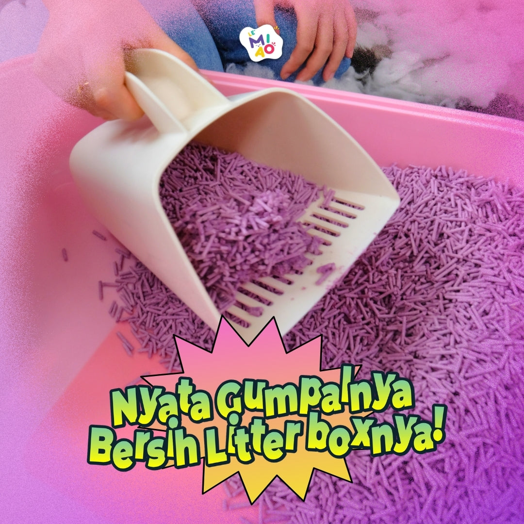 Tofu Lemiao 7L Lavender