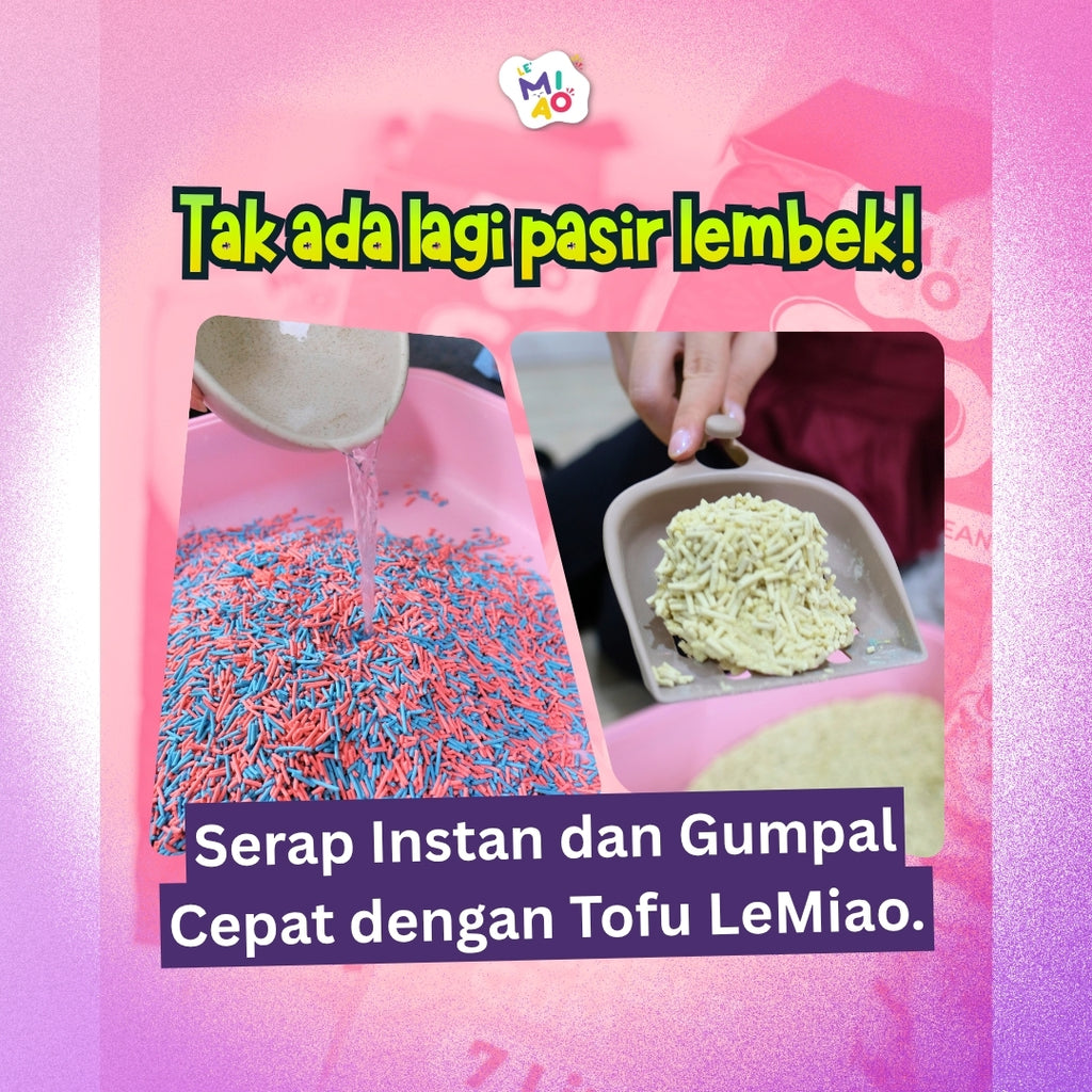 Tofu Lemiao 7L Lavender