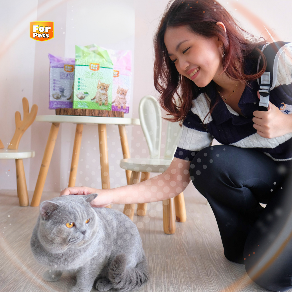 Tofu For Pets 7L Lavender