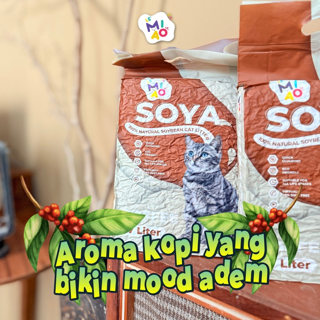 Tofu Lemiao 7L Kopi