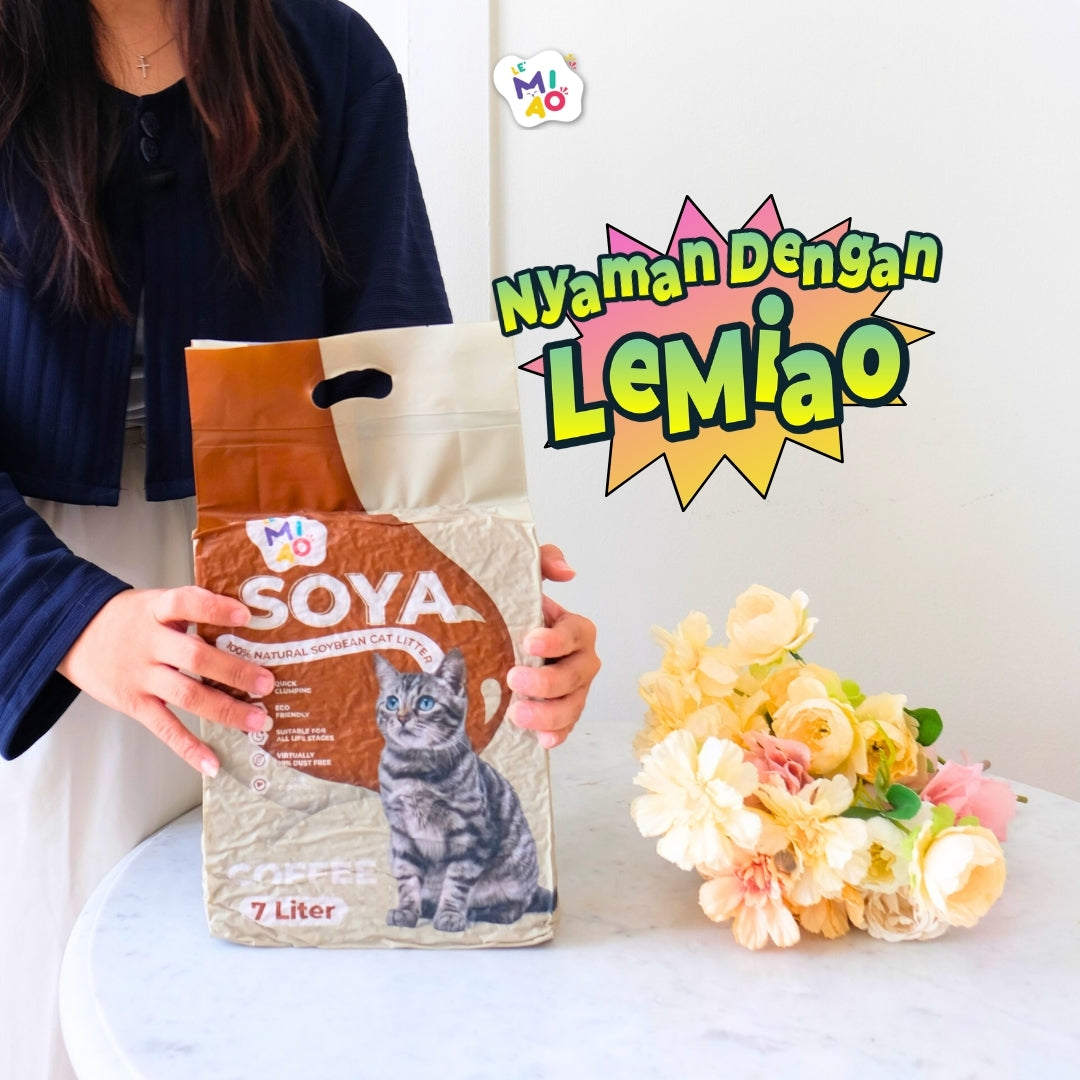 Tofu Lemiao 7L Kopi