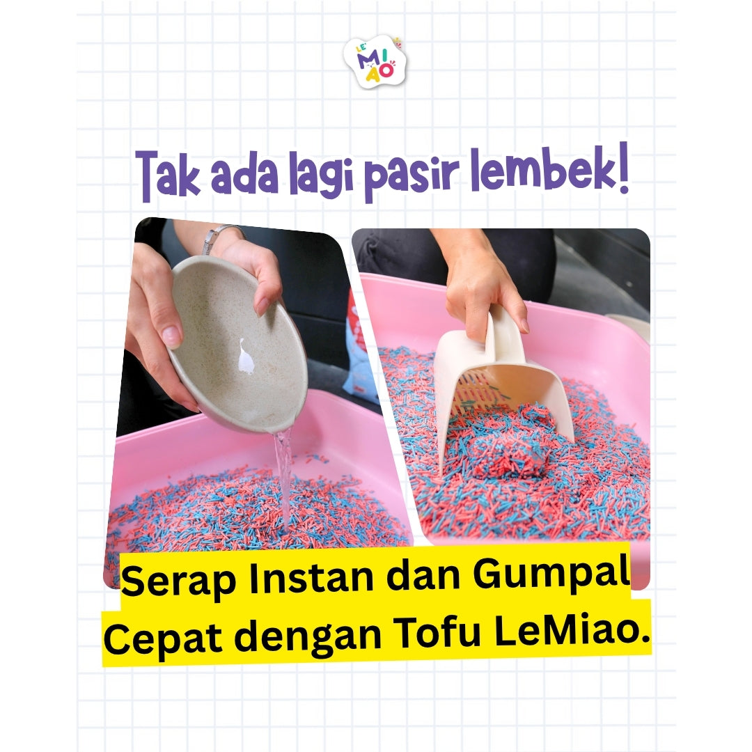 Tofu Lemiao 7L Lavender