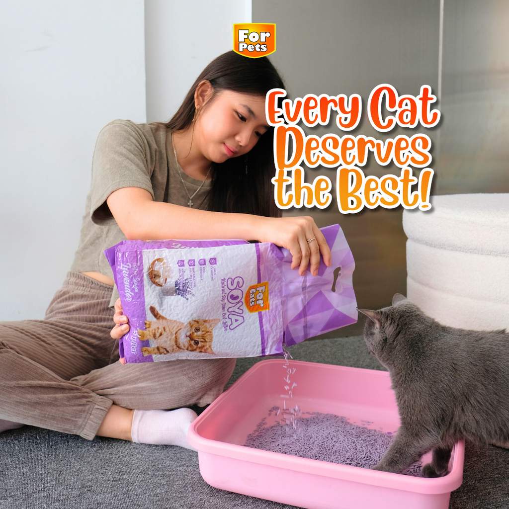 Tofu For Pets 7L Lavender