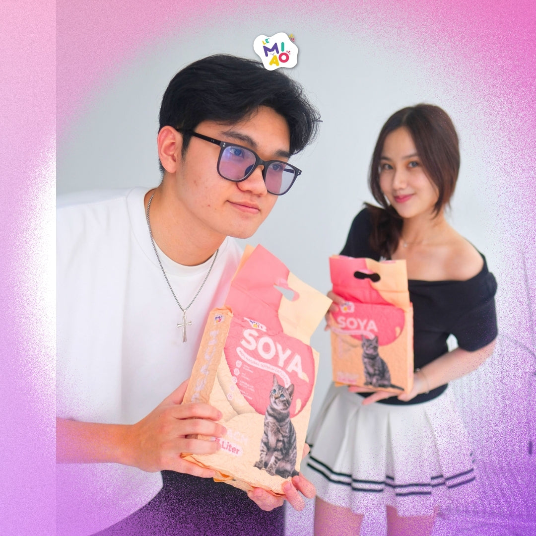 Tofu Lemiao 7L Peach